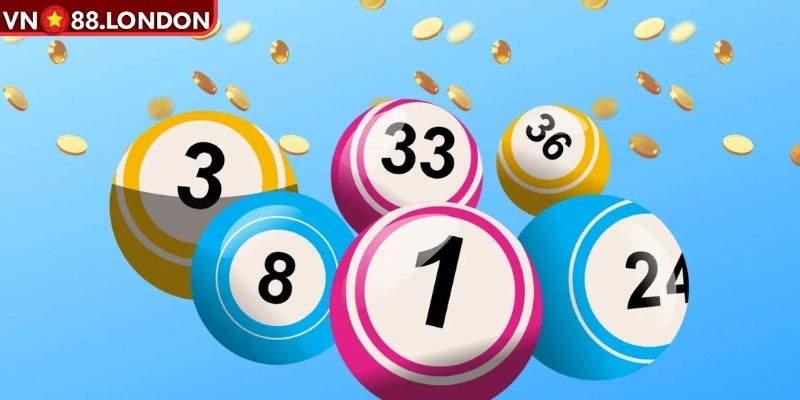 Bạch thủ lô nuôi khung 3 ngày