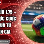 Kèo tài xỉu 1.75