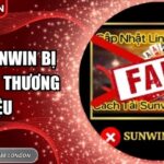 Cổng Sunwin Bị Đạo Nhái Thương Hiệu – Mối Nguy Đang Lan Rộng